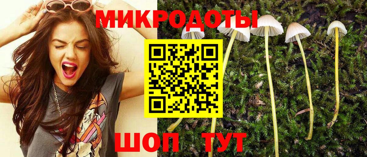 Галлюциногенные грибы прущие грибы Псков